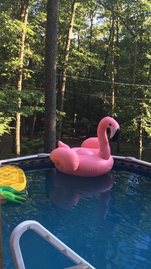Pocono Cabin With Private Pool At Shawnee Mtn Іст-Страудсберг Екстер'єр фото